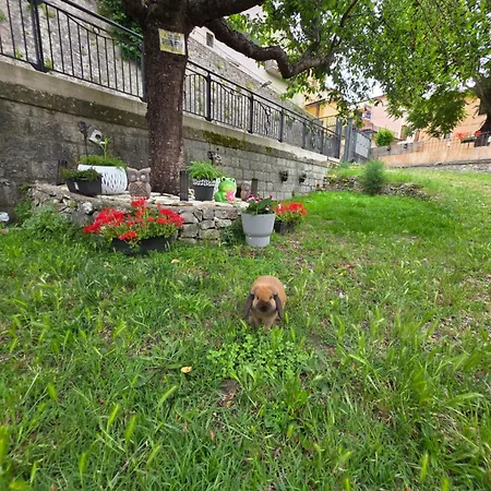 Il Tralcio * Cascia